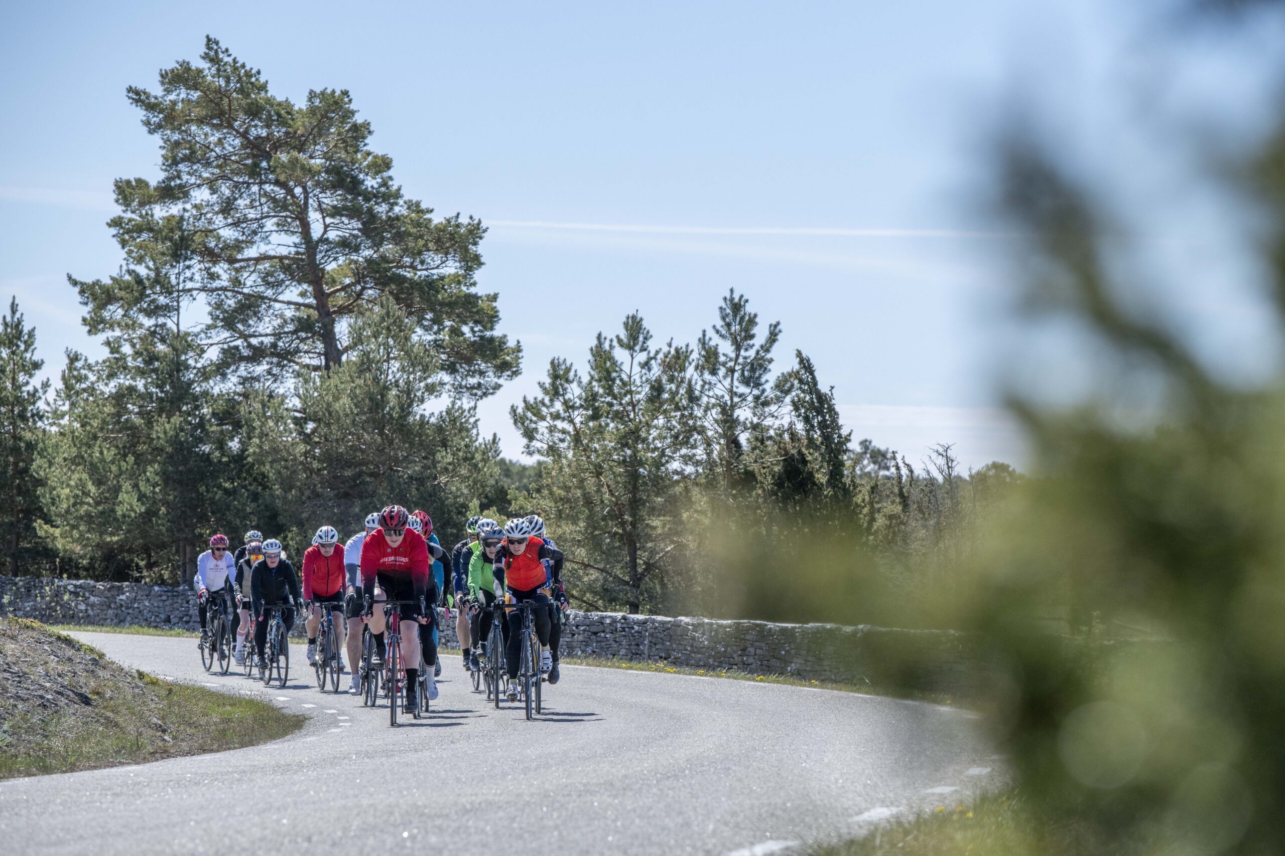 BikeCamp-2026-0508-096