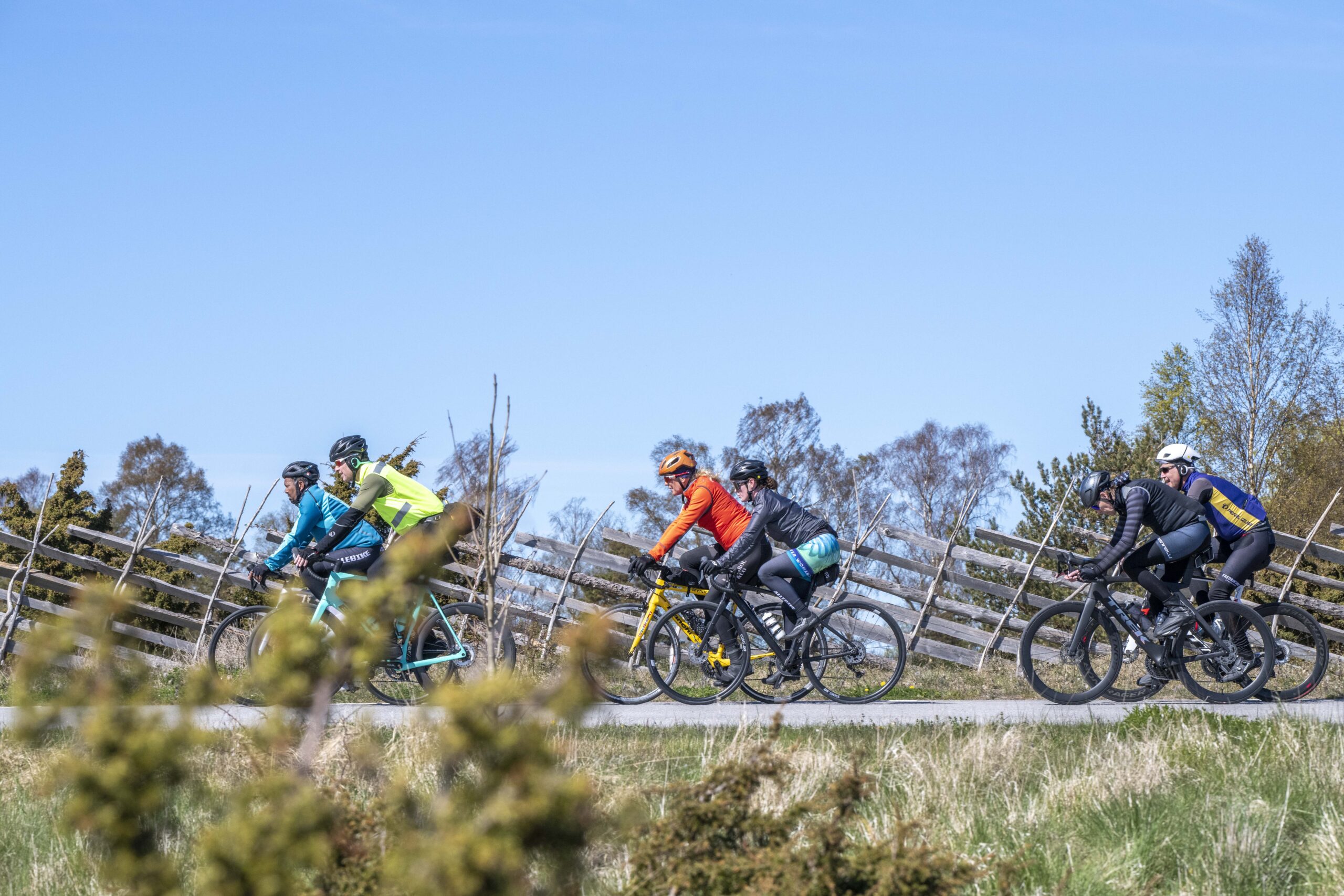 BikeCamp-2026-0508-291