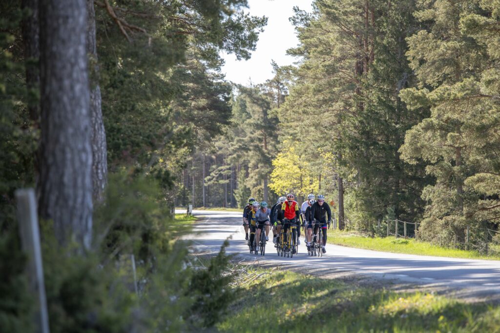 BikeCamp-2026-0510-506