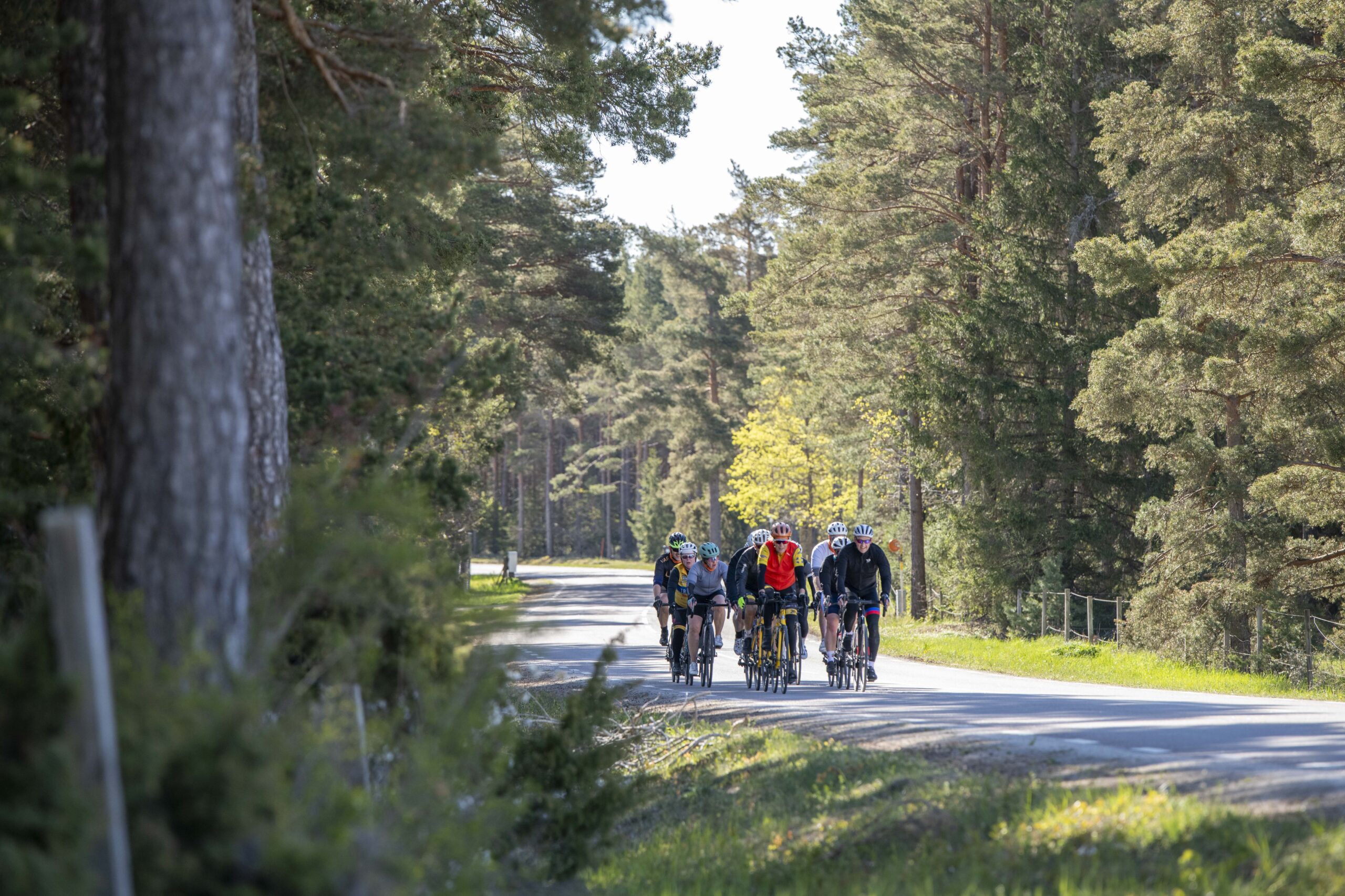 BikeCamp-2026-0510-506