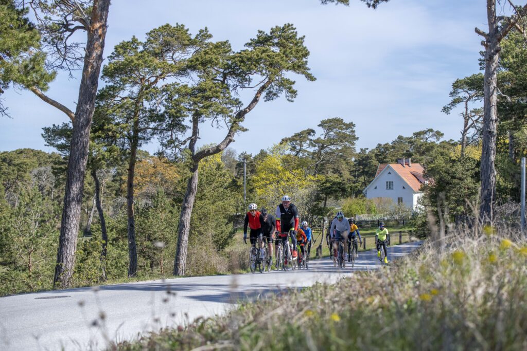 BikeCamp-2026-0510-524