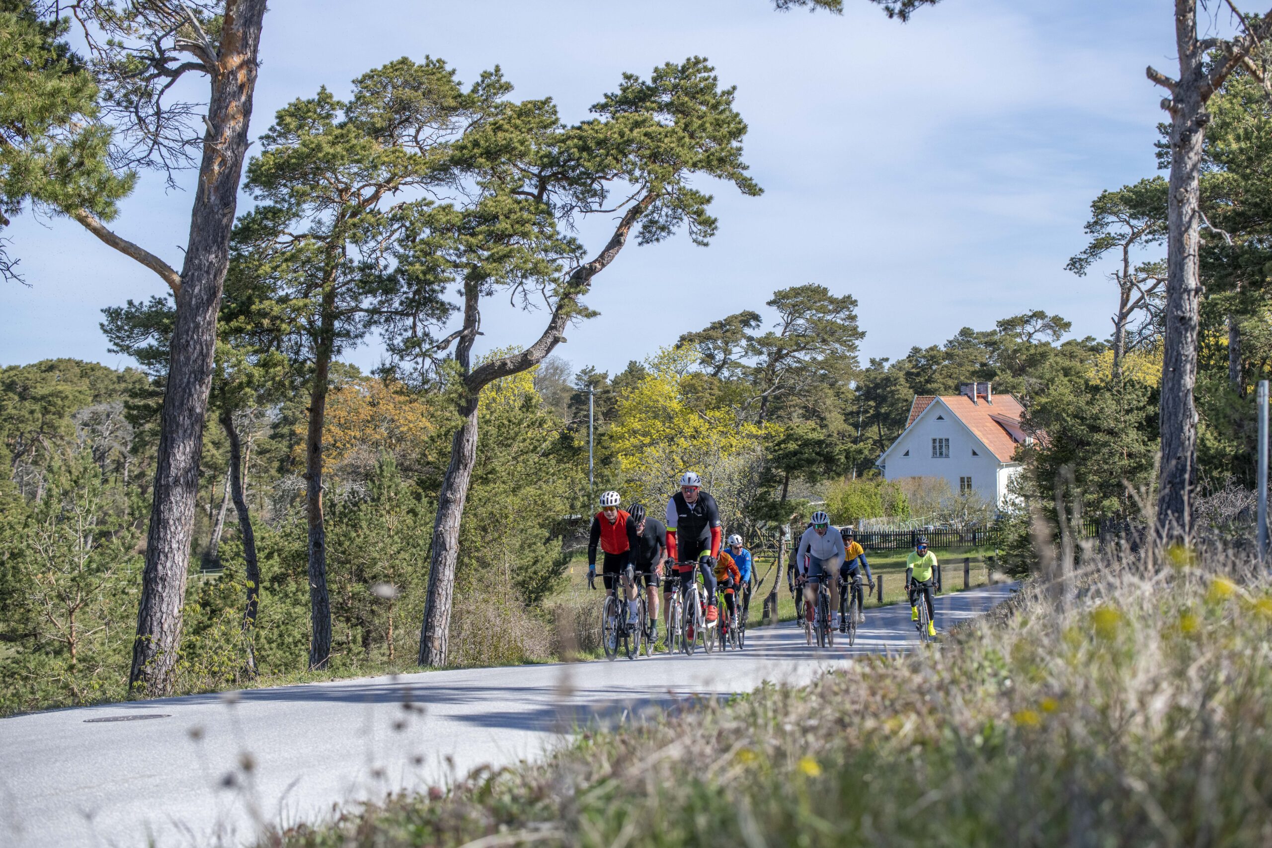 BikeCamp-2026-0510-524