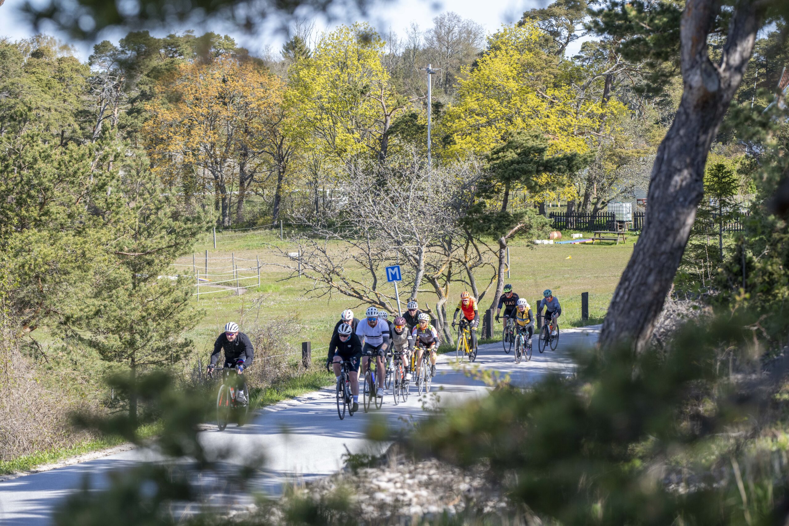BikeCamp-2026-0510-526