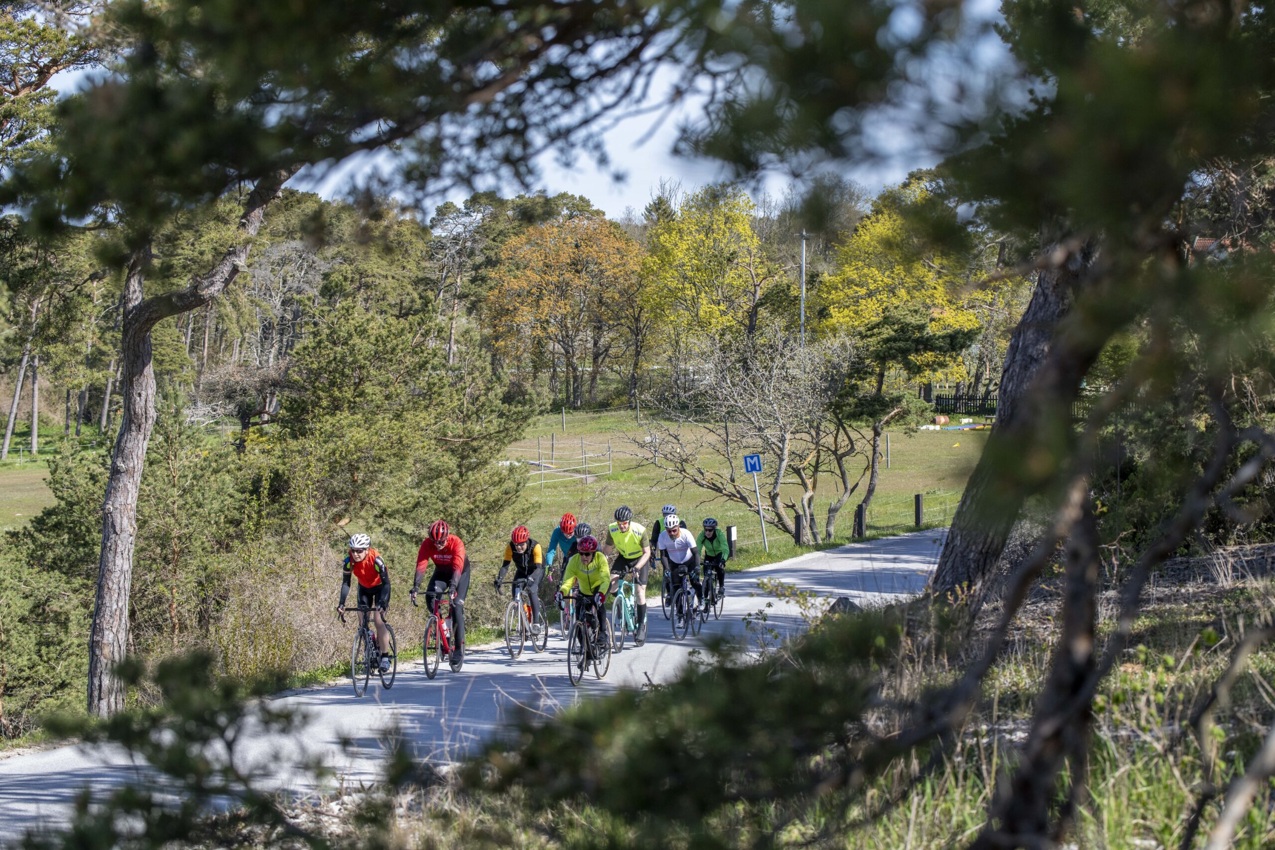BikeCamp-2026-0510-534